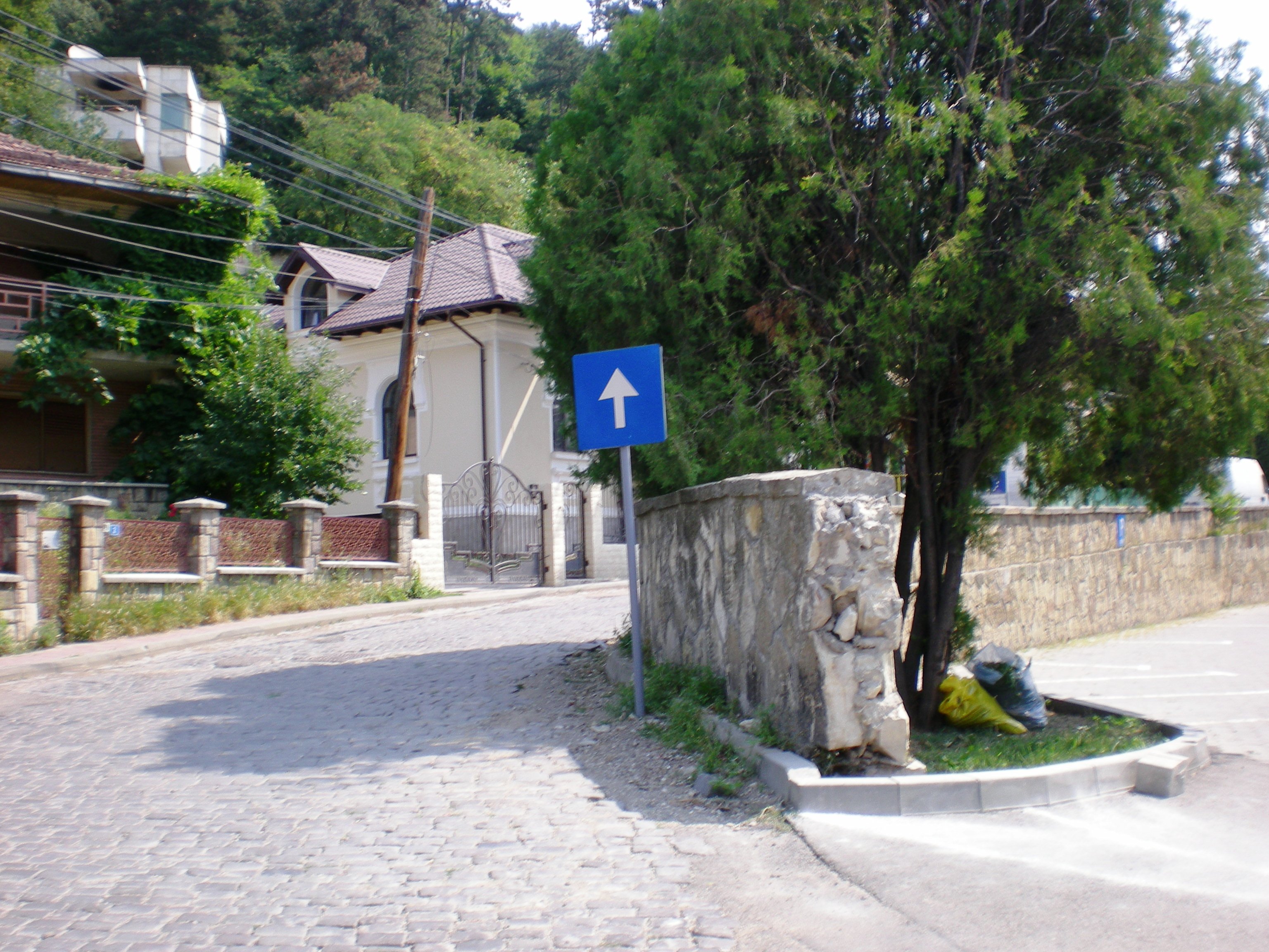 Negulesti Views